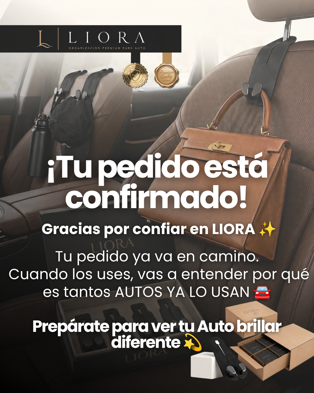 Organizadores asientos traseros